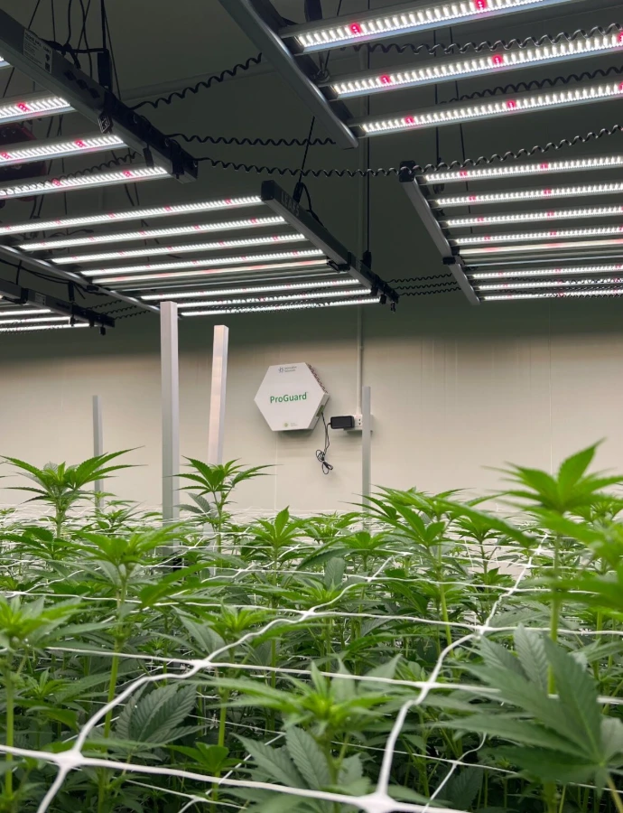 sala de cultivo dxb 100 proguard
