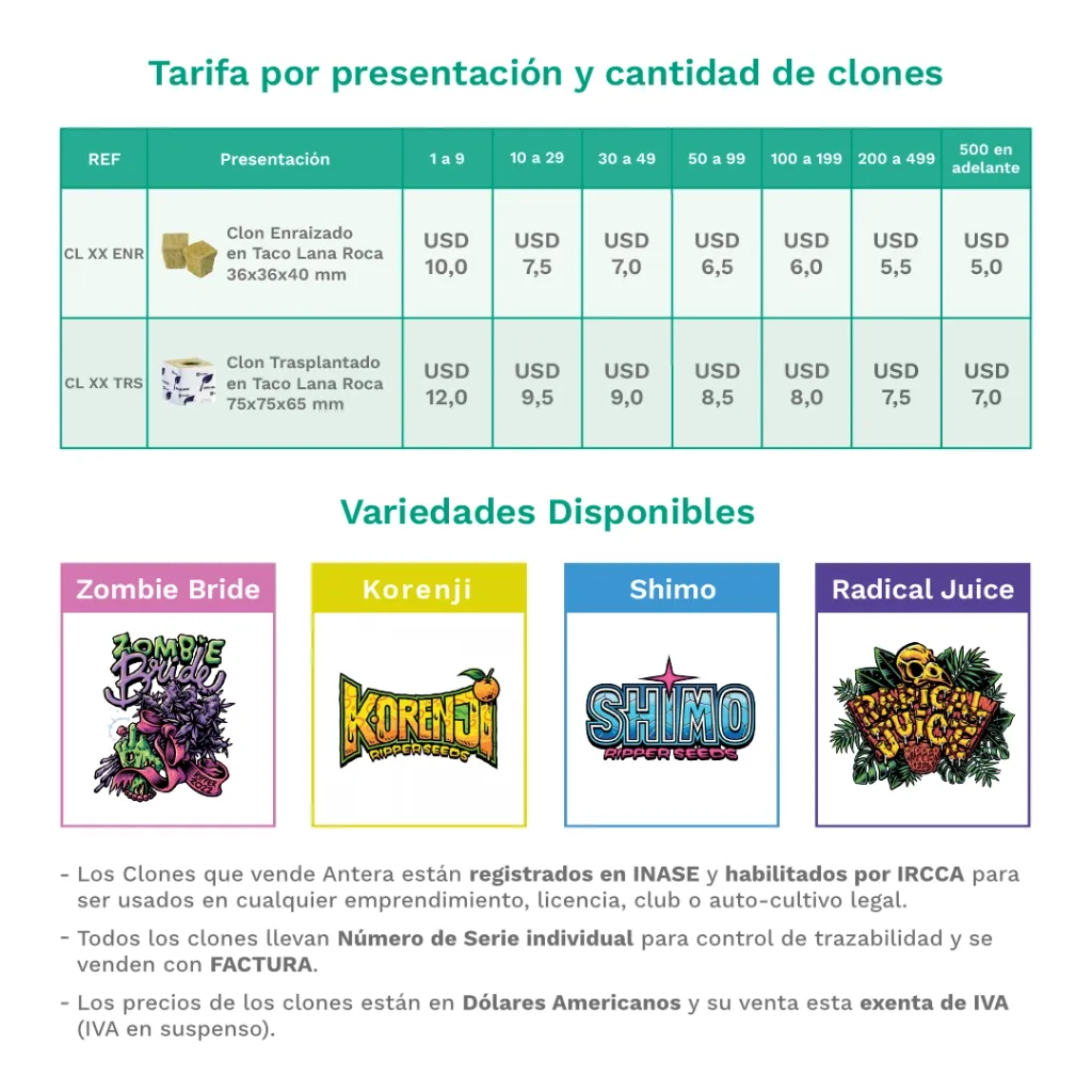 Tarifa por Variedad, presentación y cantidad de clones.webp