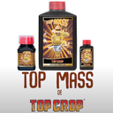 Top Mass 100 ml