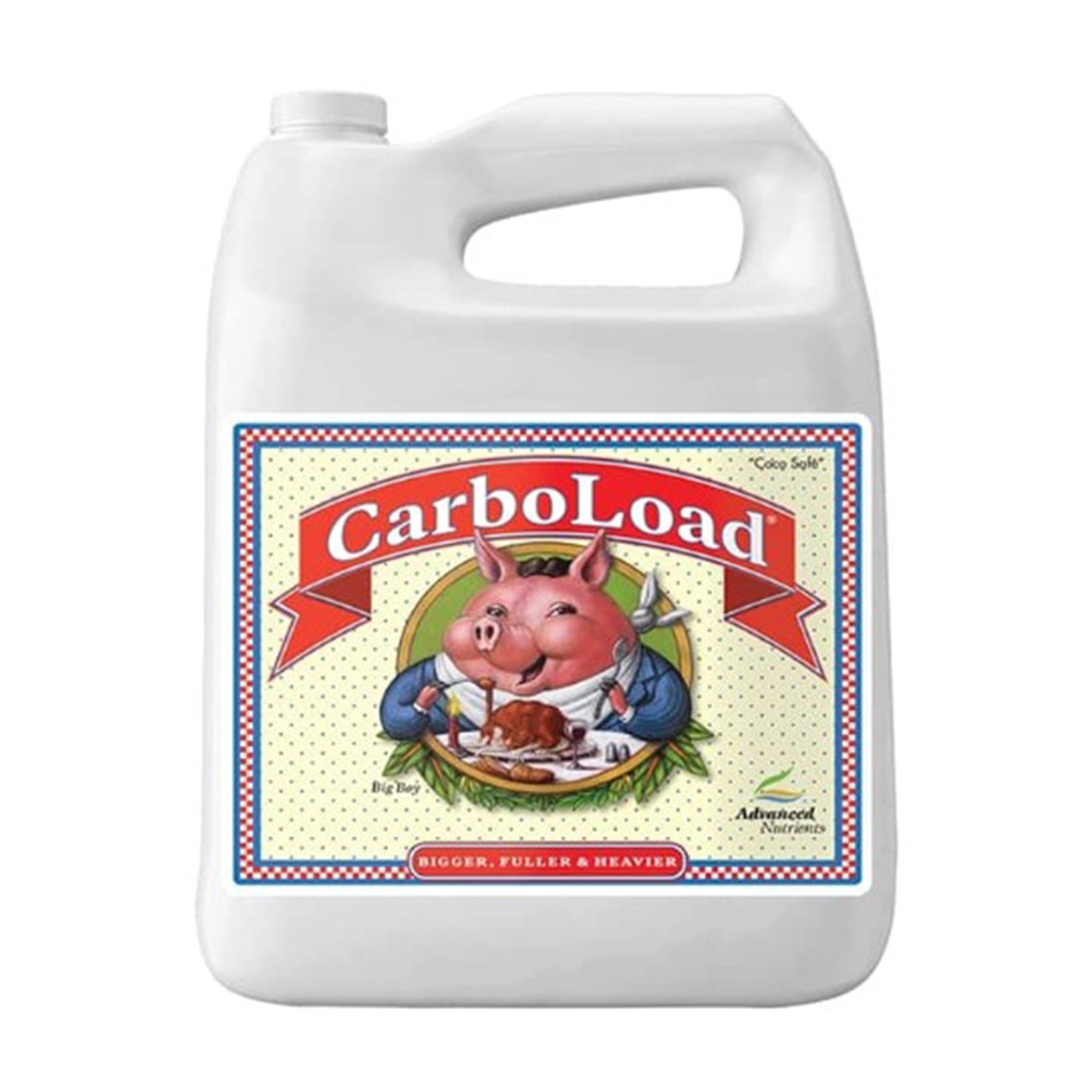 [ANCL4] Advanced Carboload 4 Litros