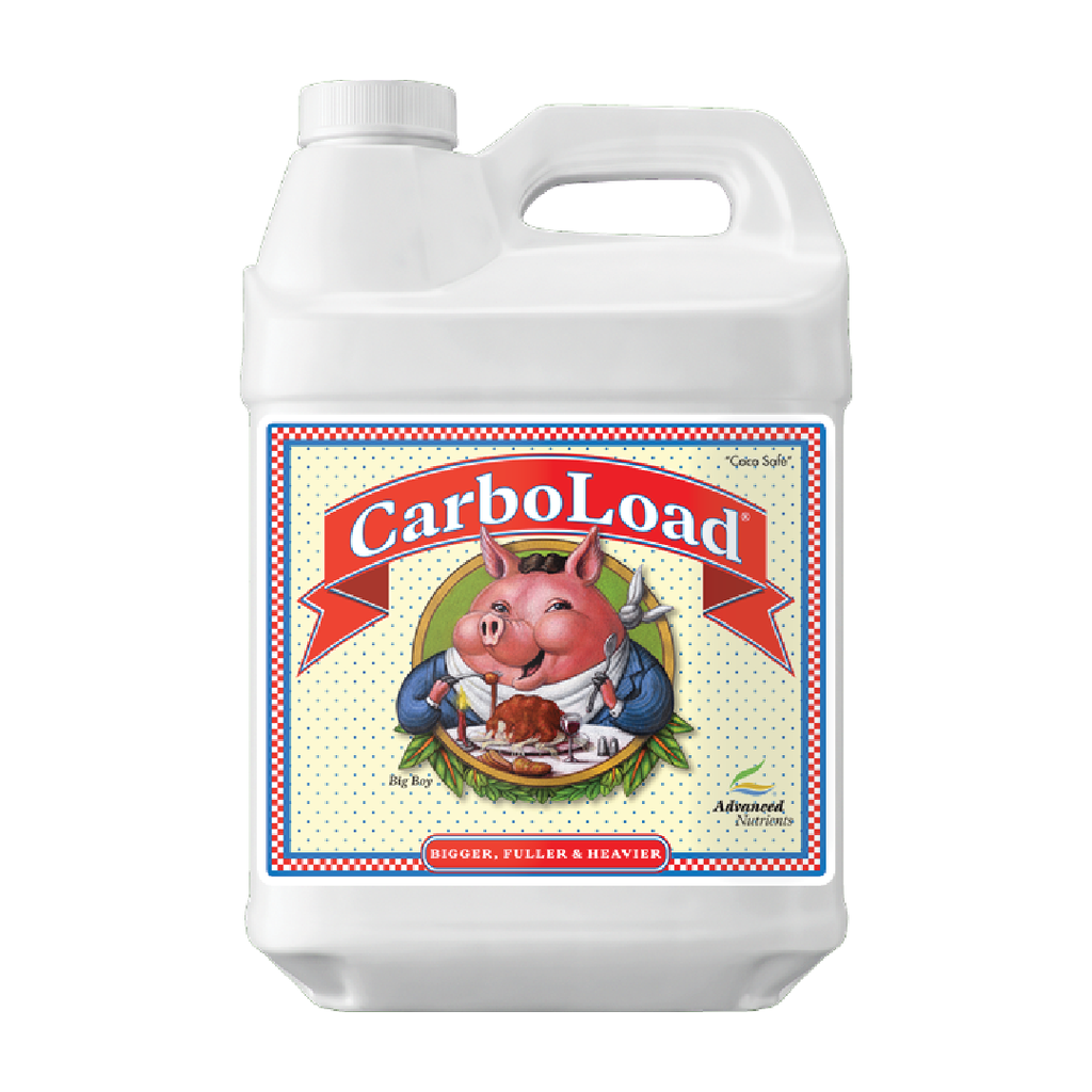 [ANCL10] Advanced Carboload 10 Litros