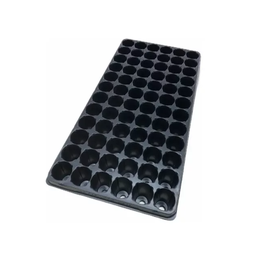 [ALM72] Almaciguera 72 Alveolos 4x4 cm