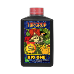 [TCBO1] Big One 1 Litro