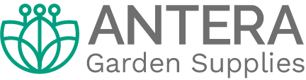 Antera v19 Final